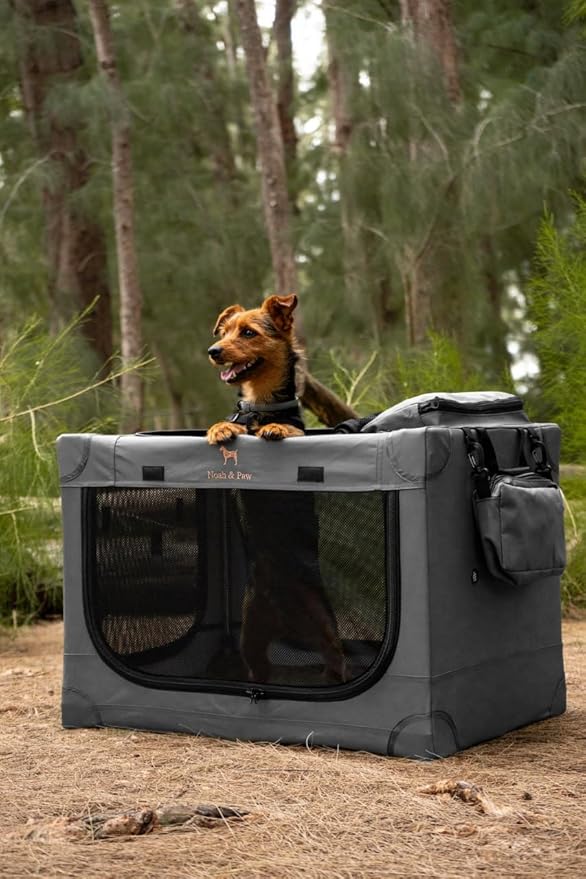 Noah & Paw Collapsible Dog Crate 26 Inch, Small Dog Crate for Small Medium Breeds, Travel Kennel for Car, Including Pet Mat for Pet Cage, 2 Storage Pockets, Handbag, 10mm Locking Zipper 26 * 17 * 17