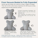 Lumbar Back Pillow (Pat. Pend), Supportive Back Cushion for Bed, Couch & Recliner, Ergonomic Lumbar Pillow with Customizable Firmness for Lower Back Pain Relief, Zinc Gray