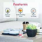 G's Breeze Citrus Aromatic Air Freshener - Energize and Cheerful Essence - Fruity Scent of Sun-Kissed Citrus Fruits for Clean, Vibrant & Inviting Atmosphere - Zesty Aroma for Home, Car or Office