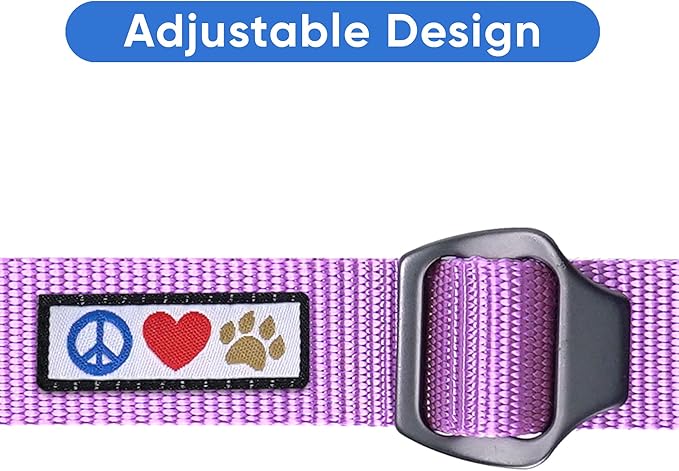 Pawtitas Dog Seat Belt | Pet Safety Seat Belt with Adjustable Strap for Small to Large Dogs | Exceeds Dog Safety Standards | Keep Your Dog Secure in The Car - Purple Orchid Car Seat Belt for Dogs