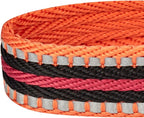 Blueberry Pet 6 Colors 3M Reflective Multi-Colored Stripe Adjustable Dog Seat Belt Tether for Dogs Cats, Orange and Black, Durable Safety Car Vehicle Seatbelts Leads Use with Harness