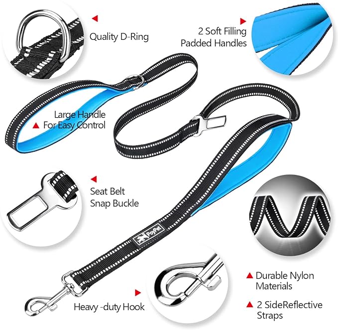 PoyPet 5 Feet Dog Leash - 3M Reflective - 2 Cushioned Handles - Functional Car Seat Belt(Blue)