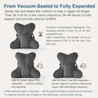 Lumbar Support Pillow (Pat. Pend) for Office Chair, Couch, Recliner & Car Seat, Ergonomic Back Support for Lower Back Comfort, with Adjustable Strap to Stay in Place, Steel Gray