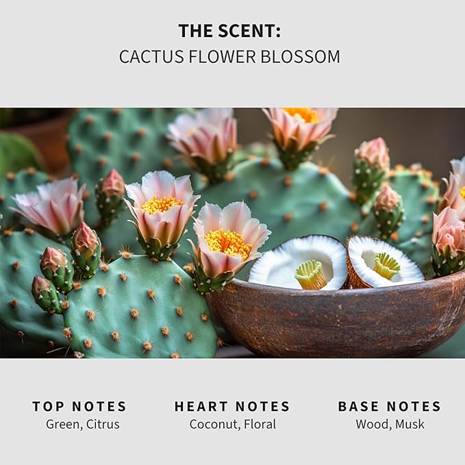 Lapew Cactus Flower Carpet Deodorizer Powder - Pet Safe Freshener for Vacuuming | Scented Odor Eliminator for Home | 36 oz