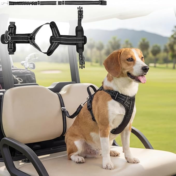 Dog Seat Belt Harness for Golf Cart, Pet Dog Seat Leash for Golf Cart, Adjustable Black Vest with Reflective Nylon Tear-Resistant Webbing & Elastic Bungee, Safety Harness for Outdoor Activity(Small)