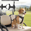 Dog Seat Belt Harness for Golf Cart, Pet Dog Seat Leash for Golf Cart, Adjustable Black Vest with Reflective Nylon Tear-Resistant Webbing & Elastic Bungee, Safety Harness for Outdoor Activity(Small)