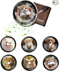 Customized Photo Car Air Freshener, Double-Sided Record Player Design, Unique Turntable Vinyl Shape,Meaning Gifts for Dad, Mom, Friends, Colleagues（6pcs） (Black B)