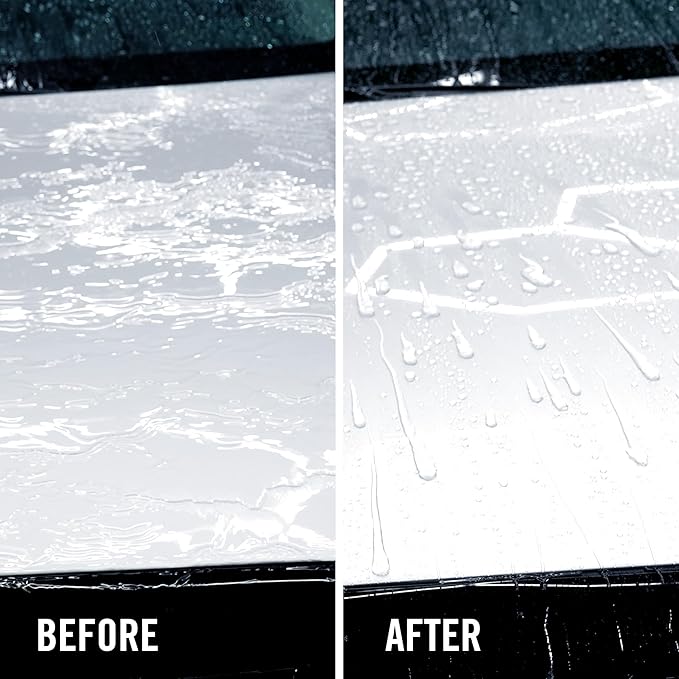 Turtle Wax ICE Seal N Shine, Car Wax Sealant, High Gloss Shine, Insane Water Beading and Durable Paint Protection, Carnauba Wax Infused, For Paint, Wheels, Glass, Plastics and More, 16oz (Pack of 6)