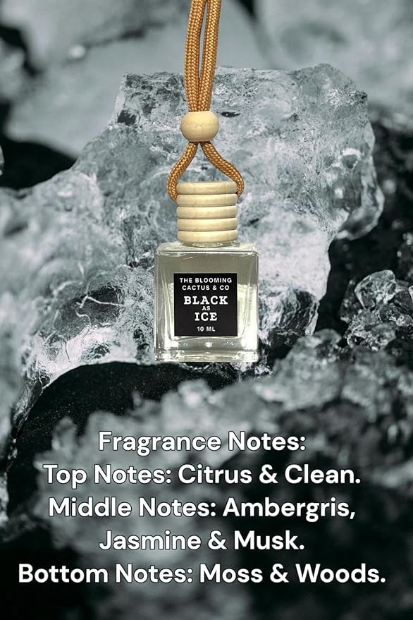 1 OZ Premium Car Diffuser Refill Oil – 2 Pack Long Lasting Fragrance Oil for Car, Home & Office | Compatible with Most Diffusers | Fresh, Pleasant Scent for Every Space (Black Ice x 2)