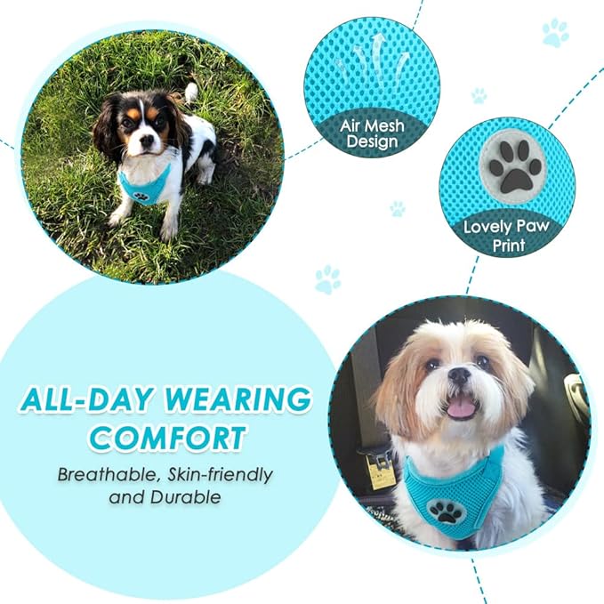 Lukovee Dog Seat Belt for Car, Adjustable Dog Car Harness for Large Medium Small Dogs, Soft Padded & Breathable Mesh Dog Seatbelt with Car Strap and Carabiner (Light Blue,XXXS)