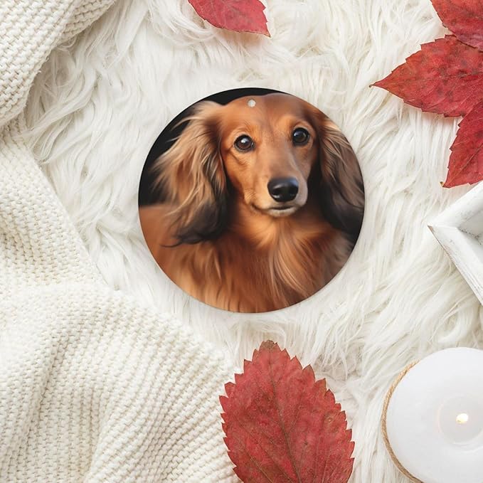 Car Air Freshener 4 Pcs Air Freshener for Car Aromatherapy Tablets Long haired Dachshund Hanging Fragrance Scented Cards Funny Scented Hanging Sheet for Bedroom Wardrobe Shoe Cabinet