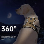 IVY&LANE No Pull Dog Harness with Leash Set, Reflective No Choke Pet Vest,Adjustable Oxford Dog Vest Harness with Easy Control Handle for Small Dogs (Light Brown,S)