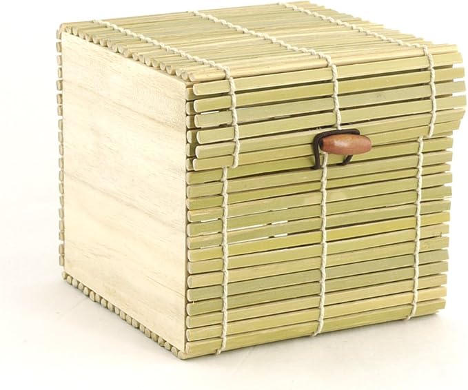 BambooMN Granulated Bamboo Charcoal Odor Absorber Bag in Decorative 4" Green Box, 2 Sets