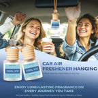 Car Air Freshener Diffuser Hanging, Cool Ice Fragrance Oil