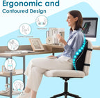Niceeday Lumbar Support Pillow for Office Chair Car Back Support Pillow, Memory Foam Gaming Chair Desk Chair Back Cushion for Lower Back Pain Relief, Ergonomic Back Rest,Office Home Essentials