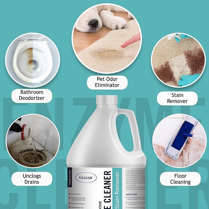 Multi-Purpose Probiotic Enzyme Cleaner, Made in USA - Pet Stain and Odor Remover - Concentrated - Professional & Home Strength Drains, Floors, Bathrooms, Toilets Trash Can, (1 gallon, Fresh fragrance)