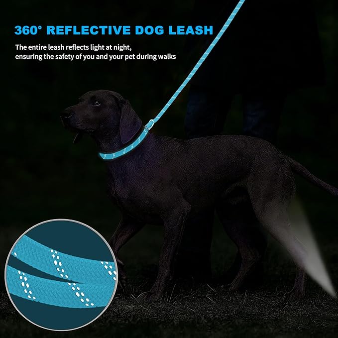 6FT Heavy Duty Dog Leash for Small Medium Large Dogs, Tangle Free Reflective Dog Training Leash with Double Handle, Seat Belt Buckle & Poop Bag Holder (Blue)