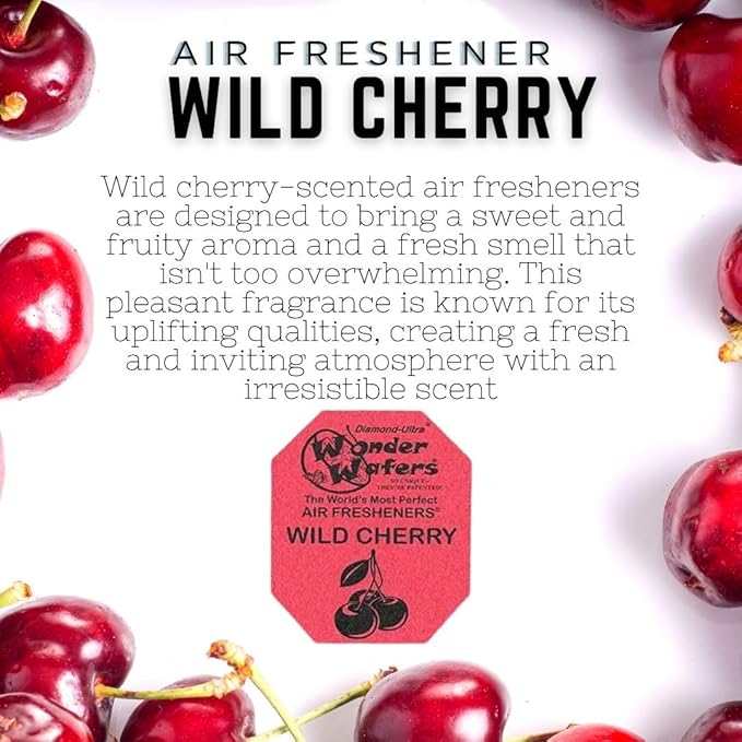 Wonder Wafers 250 Count Unwrapped Automobile Professional Use Air Fresheners Car and Truck Detail (Wild Cherry)