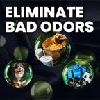 Lane's Premium Car Air Fresheners - Mulberry Scent Oil Based - 1 oz Eliminate Bad Odors of Pet & Food Odors From Car Interior Leather, Carpet, Upholstery Great For Cars, Trucks, SUVs, RVs & More