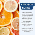 CANDECraftCo Car Air Hanging Fragrance Oil, Car Auto Freshener for Essential Oils, Scents Fragrance Aromatherapy Automobile Diffuser, Long Lasting (Hawaiian Sunset)