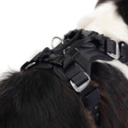 EzyDog Drive Dog Car Harness – Crash Tested and Certified (US-FMVSS 213) Dog Seat Belt Harness for Safe Travel, Adjustable with Padded Comfort (Large)