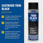 Eastwood Automotive Black Trim Restorer Aerosol Spray | Long Lasting Car Exterior Black Trim Restoration | Instantly Revives Color and Shine for Car Trims, Bolts & Screws | 15 Oz Semi-Gloss Finish