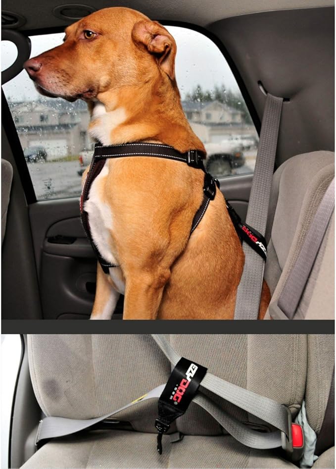 EzyDog Universal Dog Seat Belt Restraint for Cars – Durable Easy to Use Seatbelt Attachment for Dog Harness with Superior Strength and Nylon Webbing