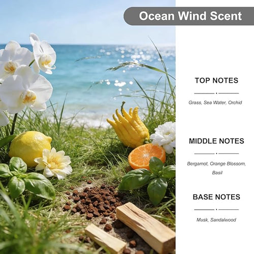 2-Pack Car Air Fresheners, Car Deodorizer, Ocean Wind Air Freshener – Long Lasting Hanging Car Air Freshener for Men and Women, Car Scent Diffuser by VUTOLLOSA