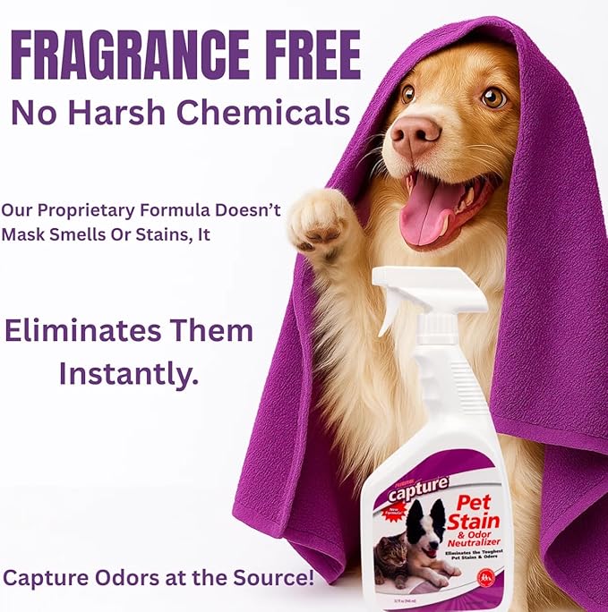 Capture Pet Stain & Odor Remover - Enzyme Pet Odor Eliminator for Home, Carpet Stain Remover for Cats & Dog Pee, Cat Urine Destroyer, Carpet Cleaner Spray - 32oz Spray Bottle