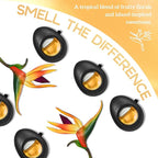 Air Jungles Car Air Freshener Vent Clip 3 Count, Hawaii Mahalo Scent, 4 ml Each, Long-Lasting Car Odor Eliminator, Easy Clip-On Design, Up to 90 Days Freshness for Cars, Trucks, and SUVs