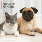Hoover Pet Portable Spot Cleaner Solution,32 oz.,Tropical Breeze Scent,Upholstery and Carpet Shampoo Solution,Eliminates Pet Messes and Odors,Designed CleanSlate Spot Cleaner,(Pack of 2)
