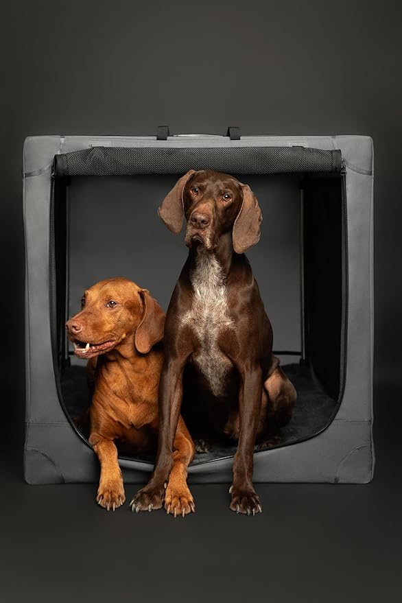 Noah & Paw Collapsible Dog Crate 26 Inch, Small Dog Crate for Small Medium Breeds, Travel Kennel for Car, Including Pet Mat for Pet Cage, 2 Storage Pockets, Handbag, 10mm Locking Zipper 26 * 17 * 17