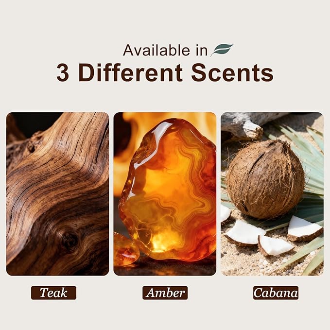 Car Air Freshener - Wood Air Freshener-Teak Amber Cabana Variety Scent Refill - Long Lasting Natural Car Fresheners - Clip Included