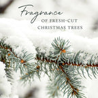 Thymes Pura Car Diffuser Refills – 2 Pack of Vehicle Air Fresheners – Air Freshener Car Accessories for Women & Men – Notes of Siberian Fir, Cedarwood & Sandalwood (Frasier Fir, Pack of 2)
