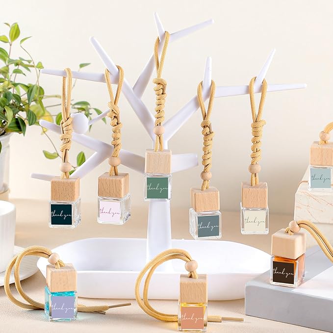 30 Pcs Appreciation Gift Bulk Car Air Freshener Diffuser Hanging Car Empty Glass Oil Diffuser Thank You Gifts for Employee Dietitian Coworker Social Worker Nurse (Thank You)