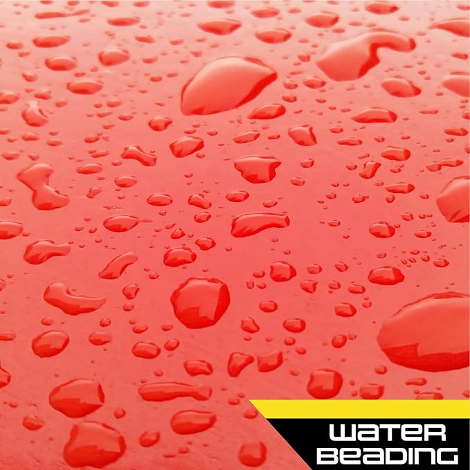 Formula 1 Carnauba Liquid Car Wax, High Gloss Shine & Protection for Auto Paint, Advanced Micropolishing to Remove Haze & Restore Vehicle Paint, 16 oz