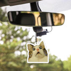 Funny Car Air Freshener Card - 16Pcs Cute Cat Refresh Air Fragrant Scented Rearview Mirror Hanging Ornaments, Double Sided Printing Kitten Oil Scent Pendant Gift for Home Bathroom Decor