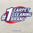 Resolve Carpet High Traffic Foam, 22-Ounce (Pack of 12)