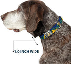 Dog Collar Seatbelt Buckle Pluto 4 Poses Landscape Blue Green 16 to 23 Inches 1.5 Inch Wide
