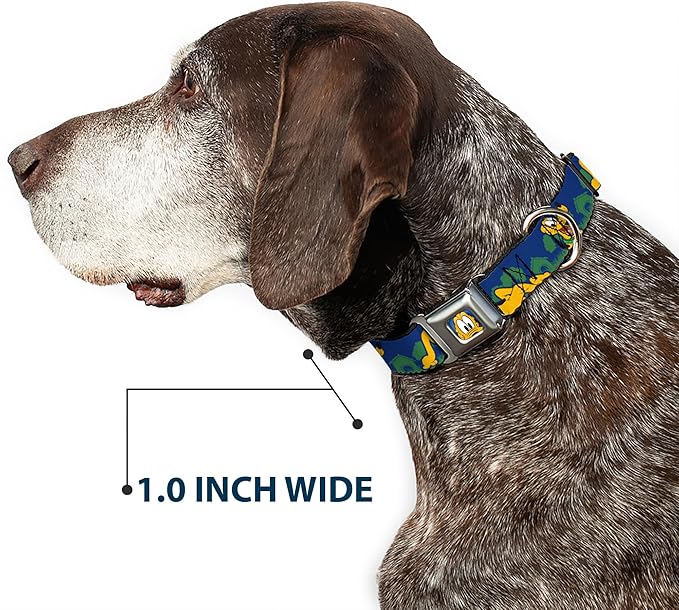 Dog Collar Seatbelt Buckle Pluto 4 Poses Landscape Blue Green 16 to 23 Inches 1.5 Inch Wide