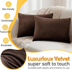 2 Pack Small Pillow, 16 X 12 Inches, Memory Foam Mini Pillow for Travel, Camping, Sleeping, Nap and Neck, Knee, Lumbar Support, Tiny Cushion for Pet, Dogs (Brown)