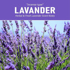 Cute Car Air Freshener 2 Pack, Lightbulb-Shaped Car Fresheners, Automotive Vent Clip, Long Lasting Scent, Essential Oils, Cute Car Accessories for Women, Lavender Scent