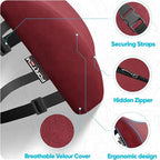 FORTEM Lumbar Support Pillow for Office Chair, Lumbar Support Pillow for Car, Back Rest for Gaming, Memory Foam Pillow, Desk Chair Cushion, Breathable & Washable Cover, Adjustable Straps