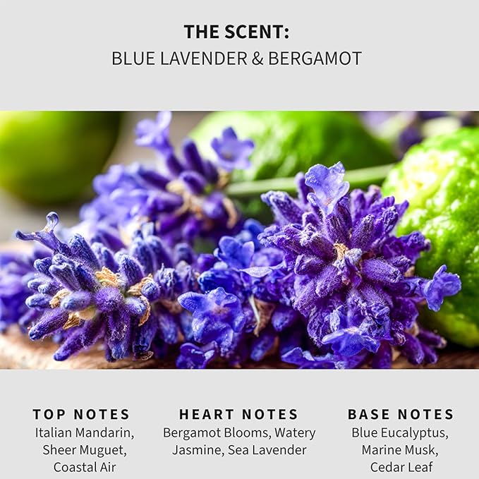 Lapew Blue Lavender & Bergamot Carpet Deodorizer Powder - Pet Safe Freshener for Vacuuming | Scented Odor Eliminator for Home | 16 oz