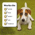 Pet-Pourri Pet Odor Air + Fabric Odor Eliminator Spray, Canine Coconut, 16 Fl Oz