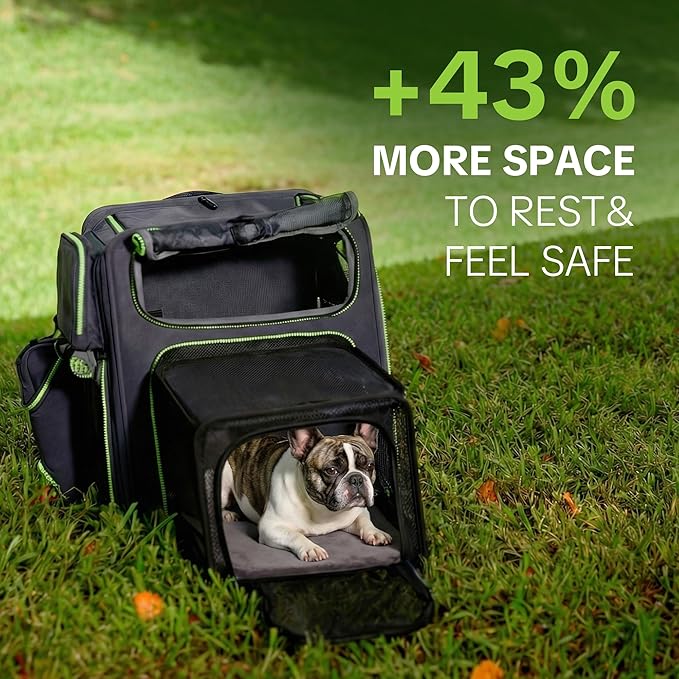 Cat Carrier Backpack for Travel & Car with Seat Belt Safety System, Expandable Pet Carrier for Cats & Small Dogs up to 25 lbs, Breathable, Durable, Foldable, Travel Friendly