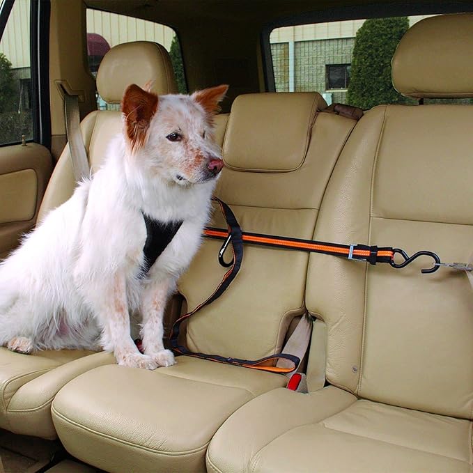 Kurgo Auto Zip Line - Backseat Zipline Harness for Car Travel - Dog Car Accessory for Safe Rides - Adjustable Pet Tether - Durable Nylon Zipline Leash Travel System