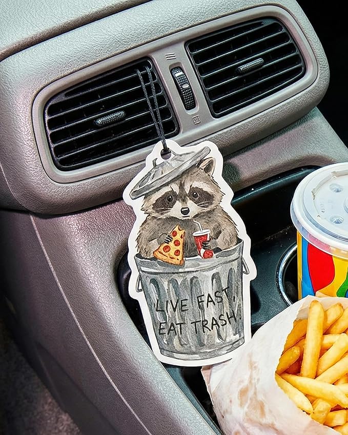 Car Air Freshener Funny Cute Humor 5pcs Raccoon Frog Capybara Car Accessories Automotive Interior Hanging Scents Mirror Decor for Women Teen Girls