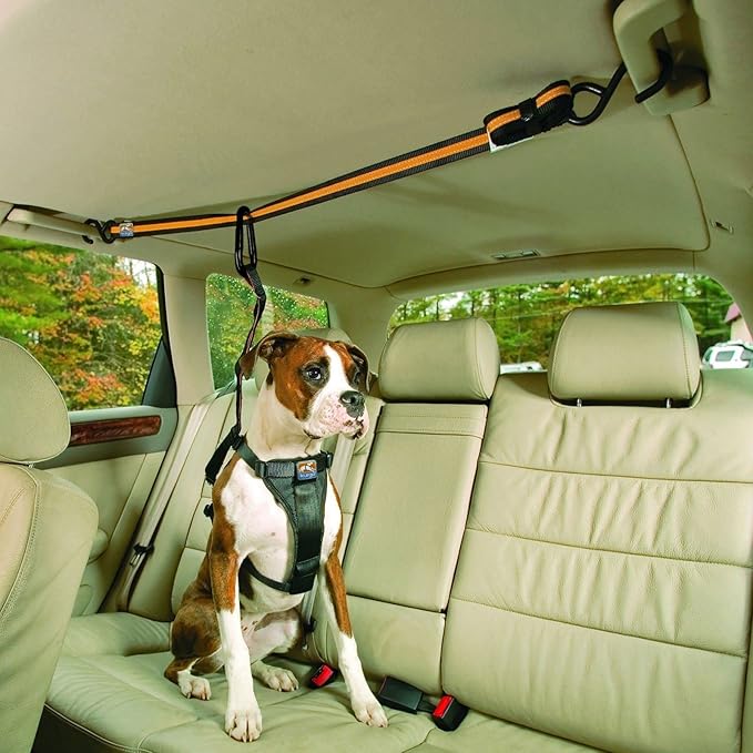 Kurgo Auto Zip Line - Backseat Zipline Harness for Car Travel - Dog Car Accessory for Safe Rides - Adjustable Pet Tether - Durable Nylon Zipline Leash Travel System