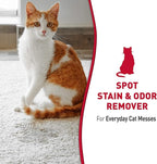 Nature's Miracle Stain and Odor Remover, Spot Stain and Pet Odor Eliminator, Enzymatic Formula, 32 Ounce Spray